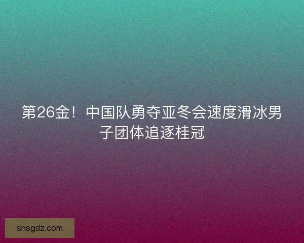第26金！中国队勇夺亚冬会速度滑冰男子团体追逐桂冠