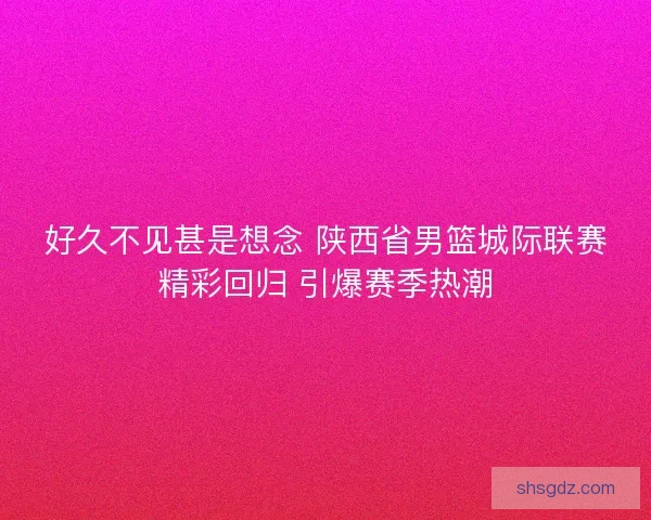 好久不见甚是想念 陕西省男篮城际联赛精彩回归 引爆赛季热潮