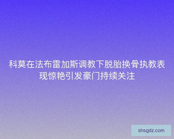 科莫在法布雷加斯调教下脱胎换骨执教表现惊艳引发豪门持续关注